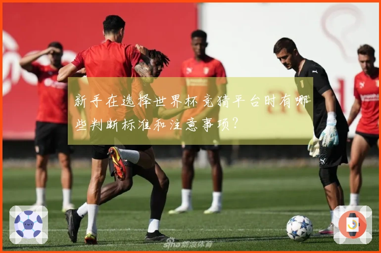 新手在选择世界杯竞猜平台时有哪些判断标准和注意事项？