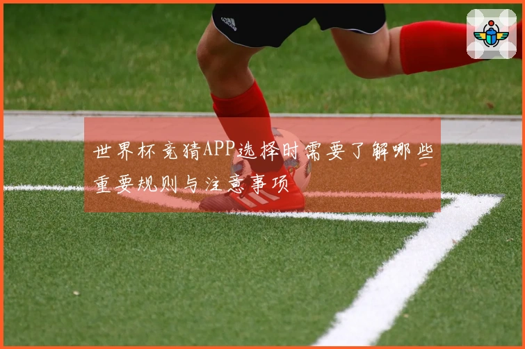 世界杯竞猜APP选择时需要了解哪些重要规则与注意事项