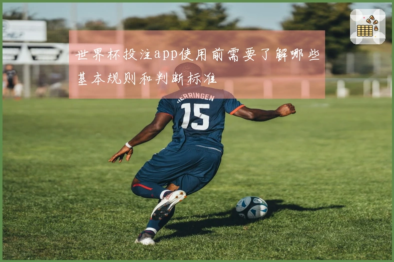 世界杯投注app使用前需要了解哪些基本规则和判断标准